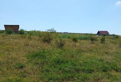 Teren în Chinteni - 3