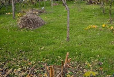 Casă cu 8 camere cu Teren 8888 Mp în Central