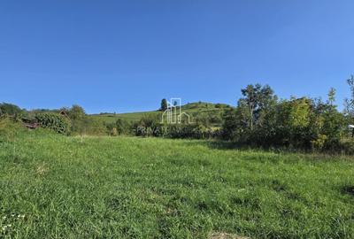 Casă individuală cu 2 camere cu Canalizare în Laslea - 2
