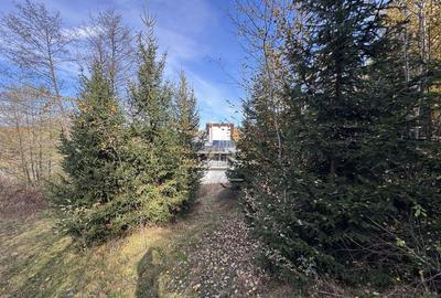 TEREN INTRAVILAN 13167 MP BUGHEA DE SUS ARGES - 8