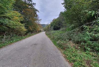 Teren Bran Moieciu zona de pensiuni 10euro mp - 2