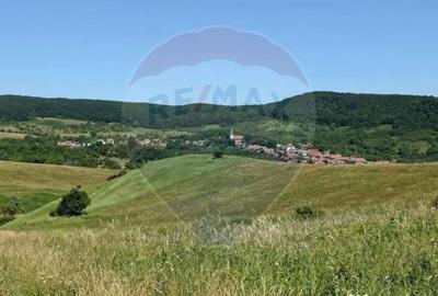 Teren în Bunești - 16