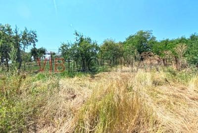 Corbeanca - Tamasi - str Trandafirului - teren 523 mp cu deschidere 13,50 mp - 2
