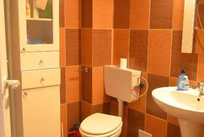 Apartament cu 3 camere decomandat în Poiana Țapului - 10