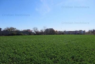 Teren constructii zona Lacu Sarat, suprafata 3393 mp, 22 eu - 5