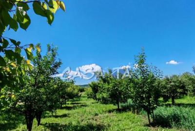 Casă cu 4 camere cu Teren 4037 Mp în Samarinești - 5