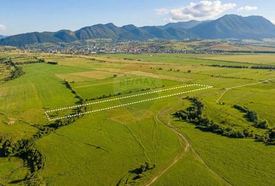 Teren agricol extravilan de 8329 mp, în Glăjărie - 5