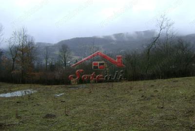 Teren de 2656 mp, în Drăgăneasa - 1