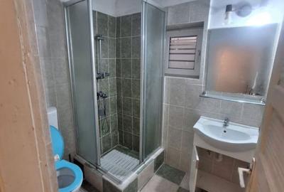 Casă cu 4 camere cu Canalizare în Viile Noi - 3