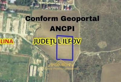 Teren Construcții intravilan de 7504 mp, în Glina - 2