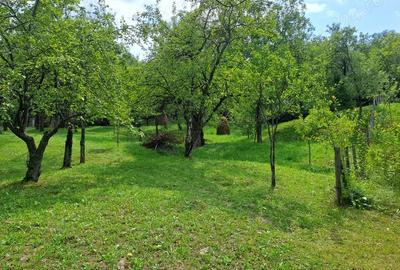 Teren în Șotrile - 9