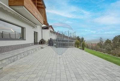 Vila moderna cu vedere spre padure Poiana Angelescu - 11