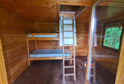 Cabana Bradulet s-a VANDUT - 7