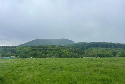 Teren de 12000 mp, în Vlădeni - 8