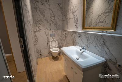 Spațiu comercial, de 300 mp, în Someșeni - 8