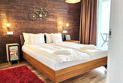 Apartament Ultrafinisat 2 camere Iulius Mall - 3