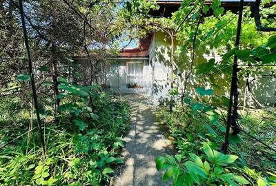 Teren de 492 mp, în 16 Februarie - 3