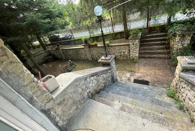 De vanzare casa cu teren intravilan Ro?ia Noua, comuna Petri?, jud. Arad - 3