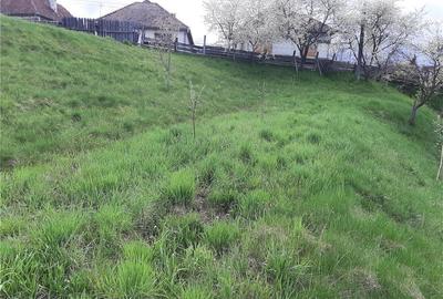 Teren de 1017 mp, în Arpașu de Sus - 1