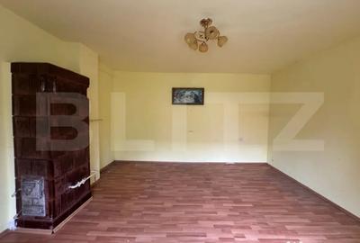 Casă cu 5 camere cu Teren 3000 Mp în Horea - 12
