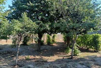 Casa comuna Lita (Turnu Magurele) judetul Teleorman