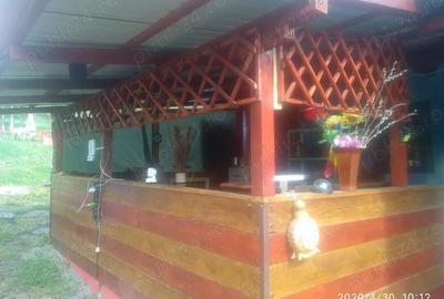 Casă cu 2 camere în Ațintiș - 2