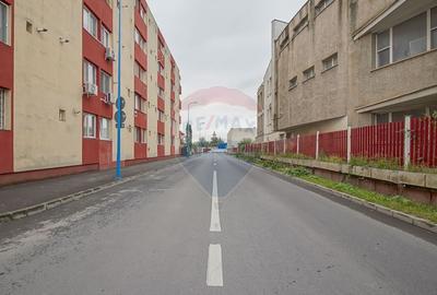 Apartament cu 1 camere de inchiriat in zona Bartolomeu - 16