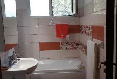 Apartament cu 2 camere de inchiriat Aparatorii Patriei - 2