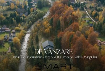 Casă cu 16 camere cu Teren 10000 Mp în Avrig - 2