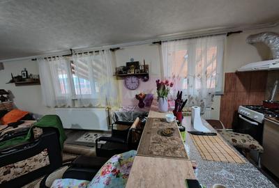 Casă individuală cu 3 camere cu Canalizare în Câmpurelu - 18