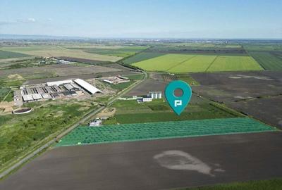 Livada de nuci ?i pruni 2.4ha in Varia?u Mare - 2
