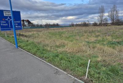 Teren Construcții intravilan de 2858 mp, în Stupini - 4