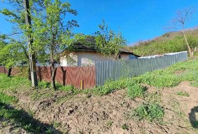 Casa si teren-com. Licurici, loc. Negreni, jud Gorj - 3