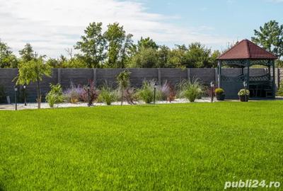 CAMIN DE BATRANI, localitatea Giulvaz CAMIN DE BATRANI, localitatea Giulvaz - 6