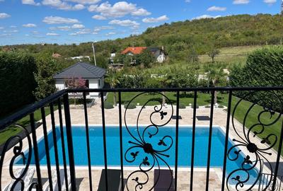 Vilă cu 7 camere, P+E, Piscină, 1102mp teren, Dealuri, Oradea. - 18