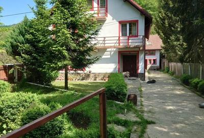 Casă cu 4 camere în Timișu de Jos - 13