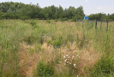 Teren 500 mp, Domnesti, str. Salciei - 4