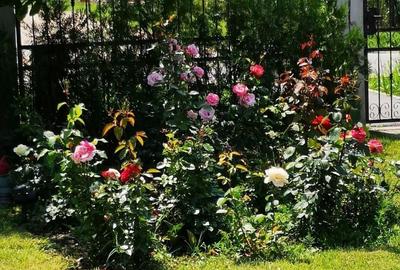 Casă individuală cu 5 camere cu Canalizare în Nord-Vest - 37