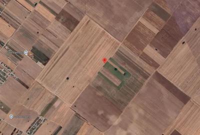 Teren Extravilan In Rate Primaverii Com. Berceni | 4.973mp | #EG39 - 3