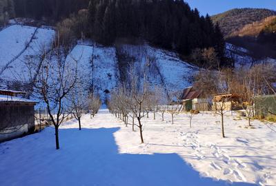 Teren intravilan cu 2 case traditionale in Sibiu Rau Sadului - 3