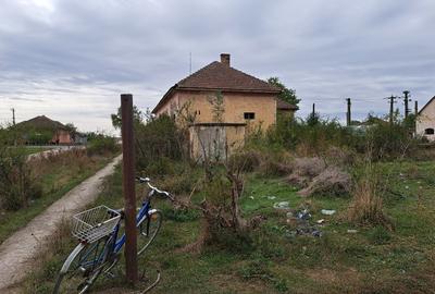 Casă individuală cu 3 camere cu Teren 2880 Mp în Zărand - 6