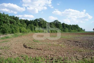 OCAZIE!!! Teren lipit de padure cu acces foarte facil la DN1 - 2