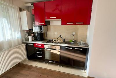 Apartament cu 2 camere semidecomandat, mobilat în Baciu