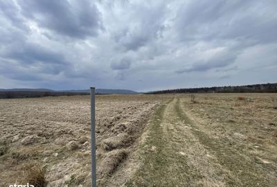 Teren de 2300 mp, în Central - 3