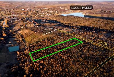 Teren intravilan de 5305 mp, în Paleu - 5