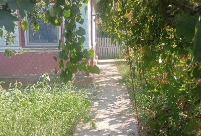 Casa Ciulnita Slobozia Ialomita - 5