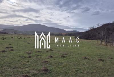 Teren de vanzare | Orlat | Extravilan - 1