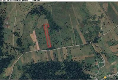 Spațiu comercial, în Gălăuțaș - 5