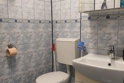 Apartament cu 3 camere decomandat în Ultracentral - 17