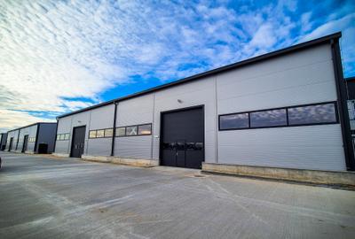 Hale,spatii industriale Albota,Pitesti Arges - 3